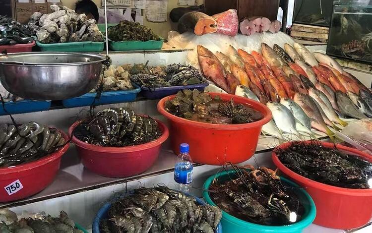 Media Noche Items Prices