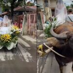 Viral Wedding Car