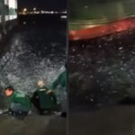 Tones of Tamban Fish in Davao