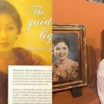 Reincarnation Portraits