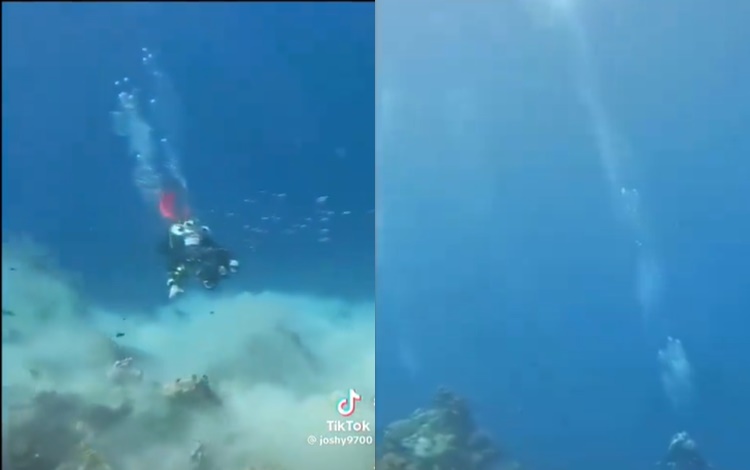 Japan New Year Earthquake