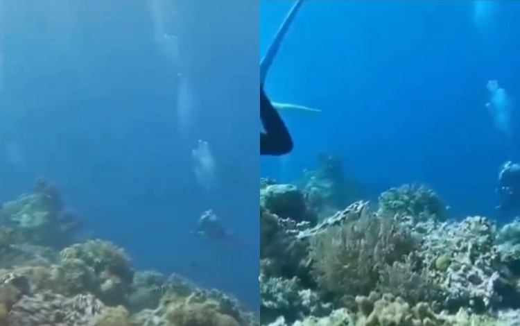 Japan New Year Earthquake