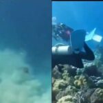 Japan Earthquake Underwater Footage