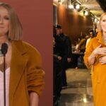 Celine Dion Seen After a Long Years