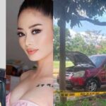 Catherine Camilon Case Development