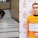 Shervey Torno Arrested
