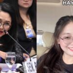 Alice Gou Risa Hontiveros