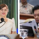 Sara Duterte Case
