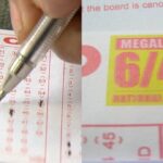 Mega Lotto Bettor