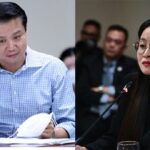 Alice Gou Controversy