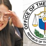 Guo Motion in Ombudsman