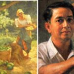 Amorsolo Mango Harvester