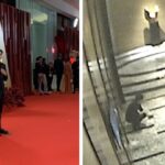 Sandro Muhlach CCTV Footage