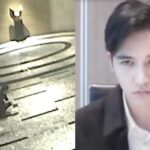 Sandro Muhlach Reaction on CCTV Video