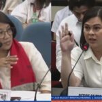 Sara Duterte France Castro Budget Hearing