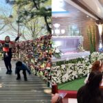 Lulu Case Development