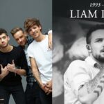 One Direction Singer Dies