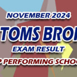 Customs Broker Exam Result November 2024 - TOP PERFORMING SCHOOLS