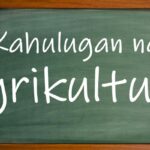 Kahulugan ng Agrikultura