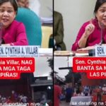 Cynthia Villar New Viral Video