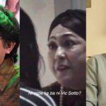 Vic Sotto Darryl Yap