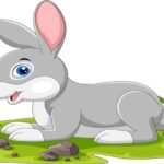 Ang Hatol Ng Kuneho Buod