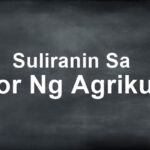 Suliranin Sa Sektor Ng Agrikultura