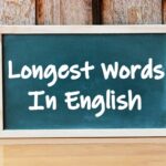 Longest Words In English