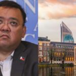 Harry Roque Seek Asylum's