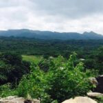 Weather Update Today