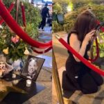 Hajji Alejandro Partner