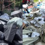 Viral Parcel Warehouse