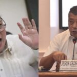 Harry Roque Passport