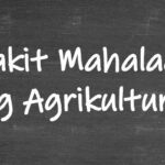 Bakit Mahalaga Ang Agrikultura