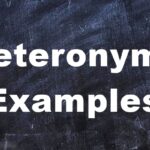 Heteronyms Examples