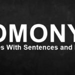 Homonym Examples