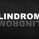 Palindromes Examples