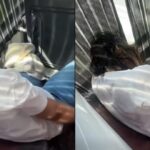 OFW From Japan Dies on Bus