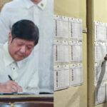 2025 Barangay and SK Election Postponement