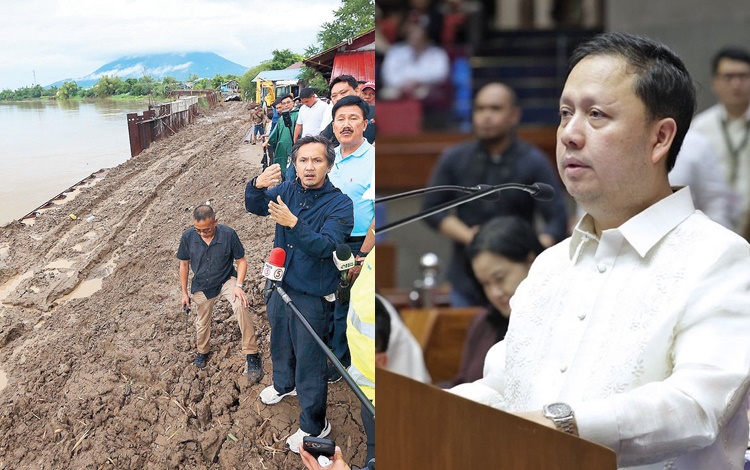 Zaldy Co Flood Control