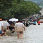 Diseases Cause By Flood