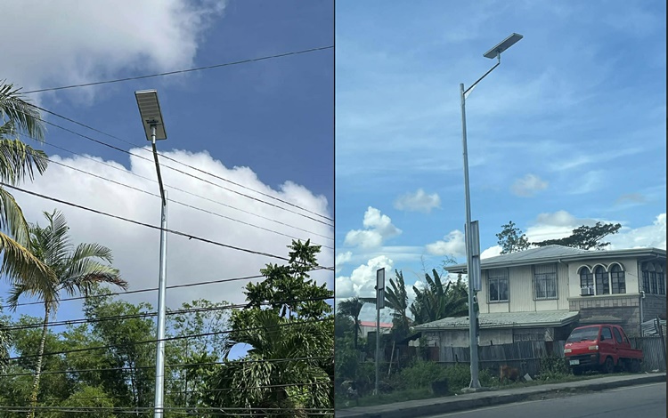 Discaya Solar Lamp Post